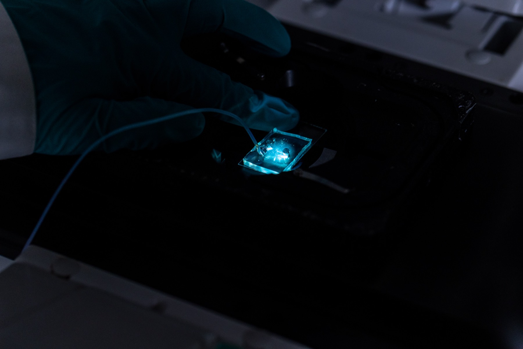 A sample glowing under the lamp in the Arivin laboratory