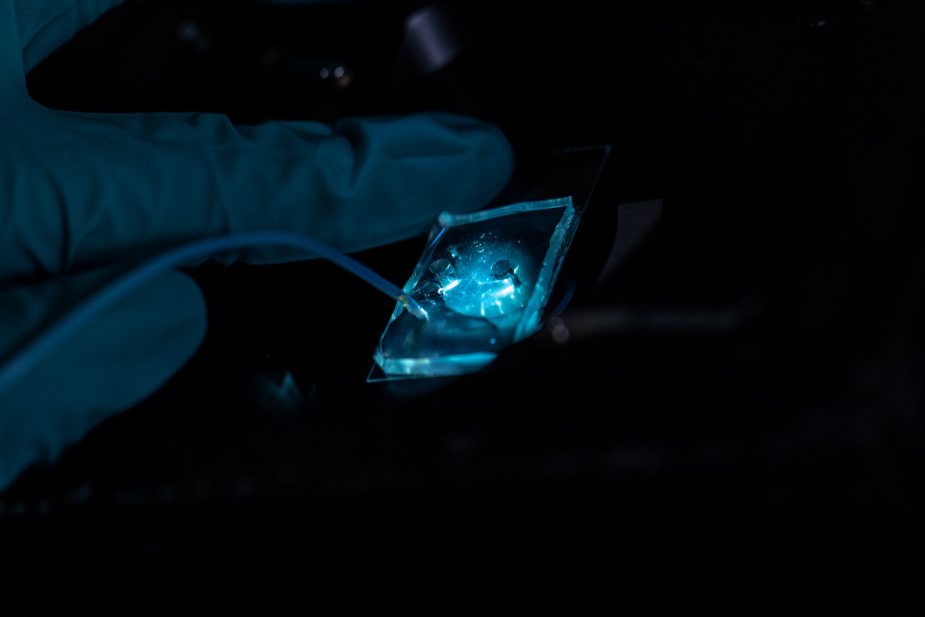 A glowing sample held in a gloved hand