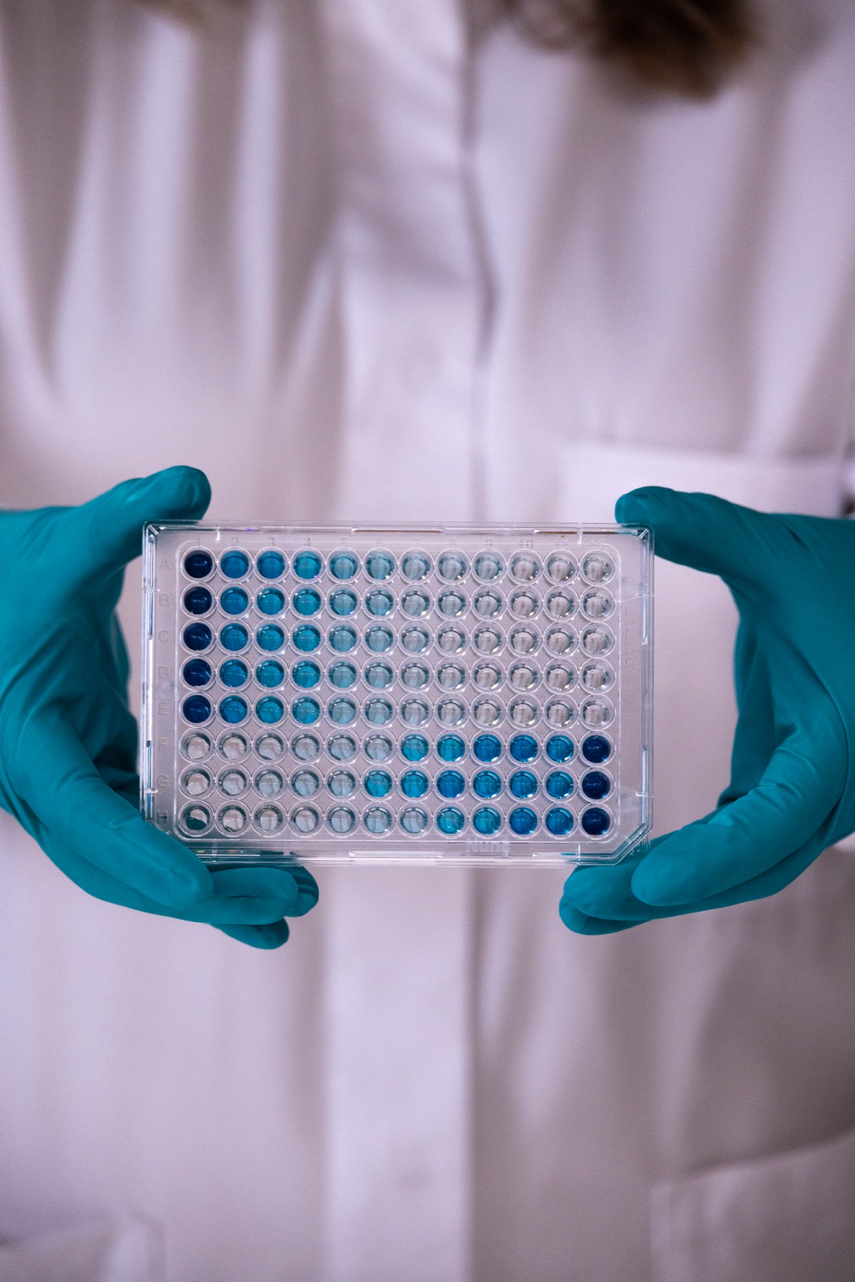 A screening plate held in gloved hands